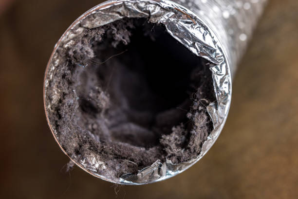 Best Air Duct Cleaning Near Me  in Egan, LA